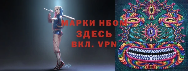 спиды Аркадак