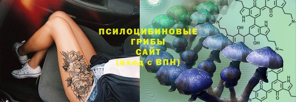 каннабис Арсеньев