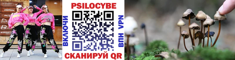 купить   Казань  Псилоцибиновые грибы GOLDEN TEACHER 